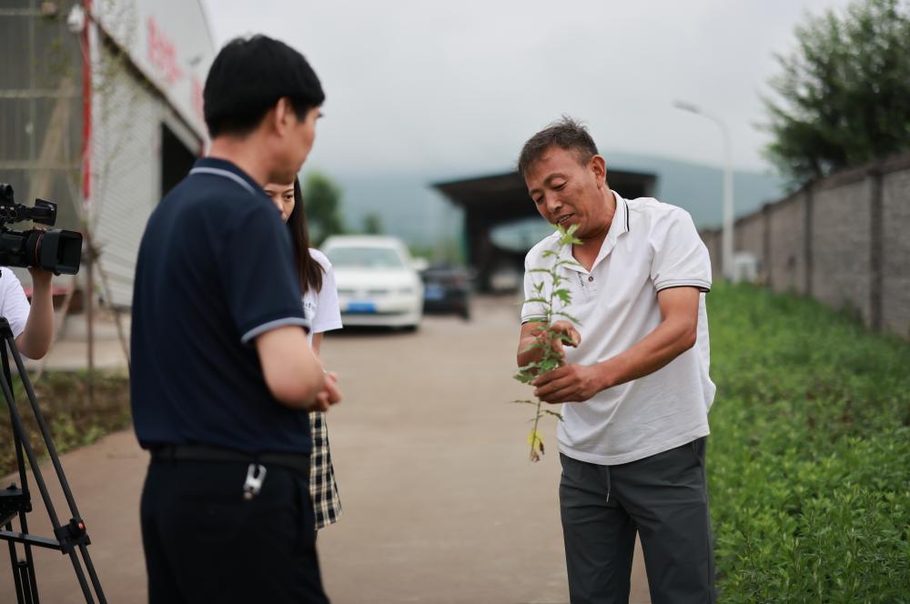 斩邪最新章节,热血冒险再度开启!🔥📖