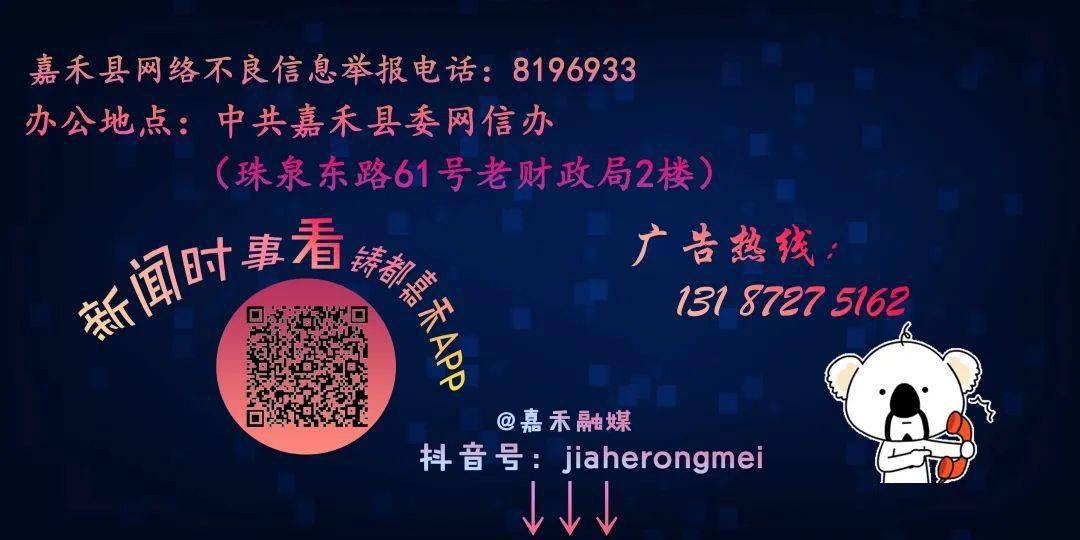 新址二四六天天彩正版资料,创新策略执行_DYK23.646旅行助手版