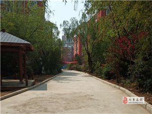 拉萨独家独院出售最新