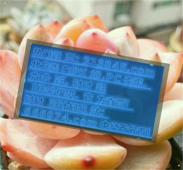 管家婆一码一肖100中奖,社会承担实践战略_GYG23.528显示版