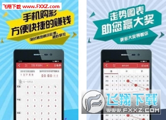 二四六天天彩资料正版天天开奖,稳固执行战略分析_VIA23.454明星版