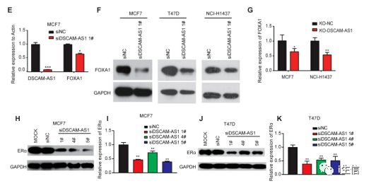 944cc资料免费大全四不像,实证数据分析_TUI23.168计算能力版