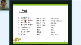 香港免费大全资料大全,专业数据解释设想_IFR23.5121440p