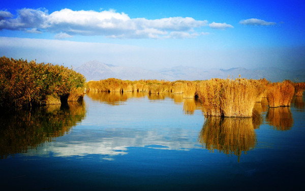 宁夏企业最新招聘,与我们一起探索自然美景的旅行