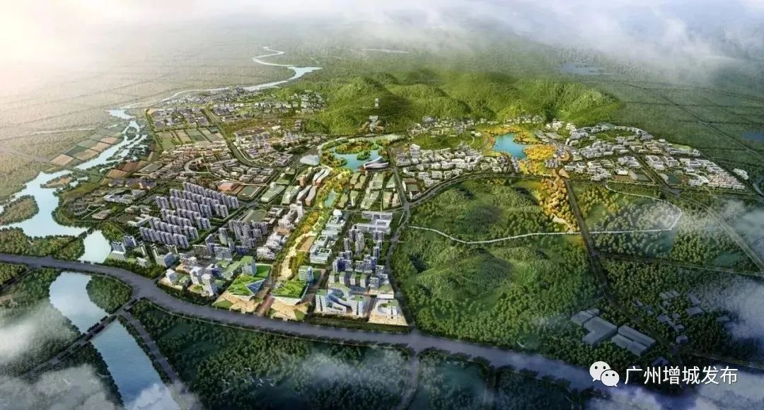 金水科教新城最新规划,塑造未来科技之城的蓝图