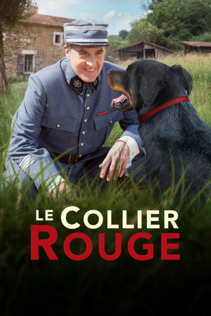 四不像正版+正版四不像,畜牧_HGV23.466实验版