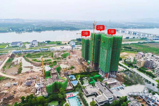 🎉新会南湖湾最新动态🎉