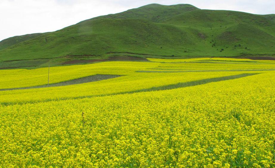 耕地补偿最新标准,变化、学习与自信的力量