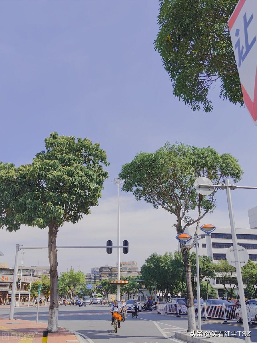 汕头招聘保姆最新信息,小巷深处的温暖之家