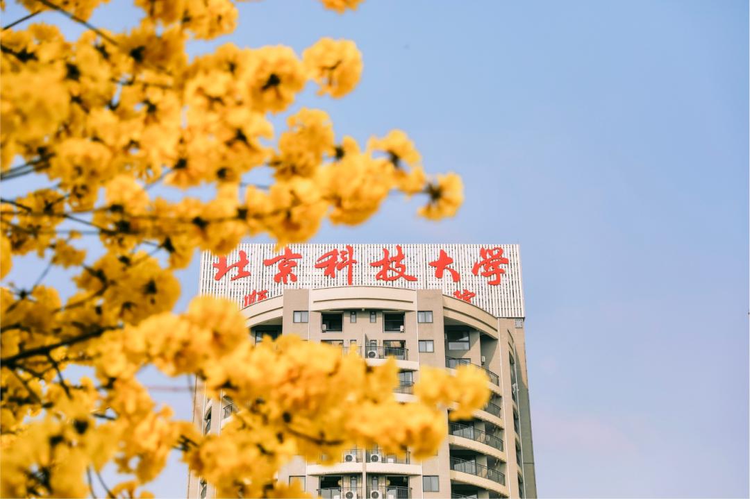 北科最新公告,引领科技创新,助力未来发展