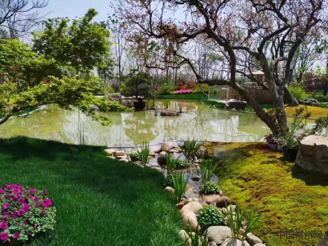 常州市常委最新科技产品,未来触手可及,体验科技魅力