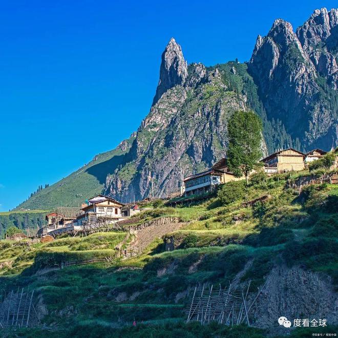 张靓颖最新动态,拥抱自然,寻找内心的宁静之旅