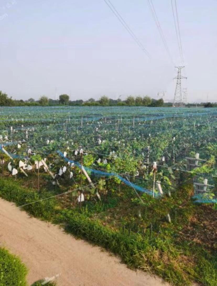 荥阳最新店面转让步骤指南(初学者/进阶用户适用)