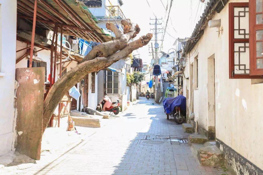 最新婚礼台词,小巷深处的特色小店,一场浪漫与独特的婚礼探索之旅