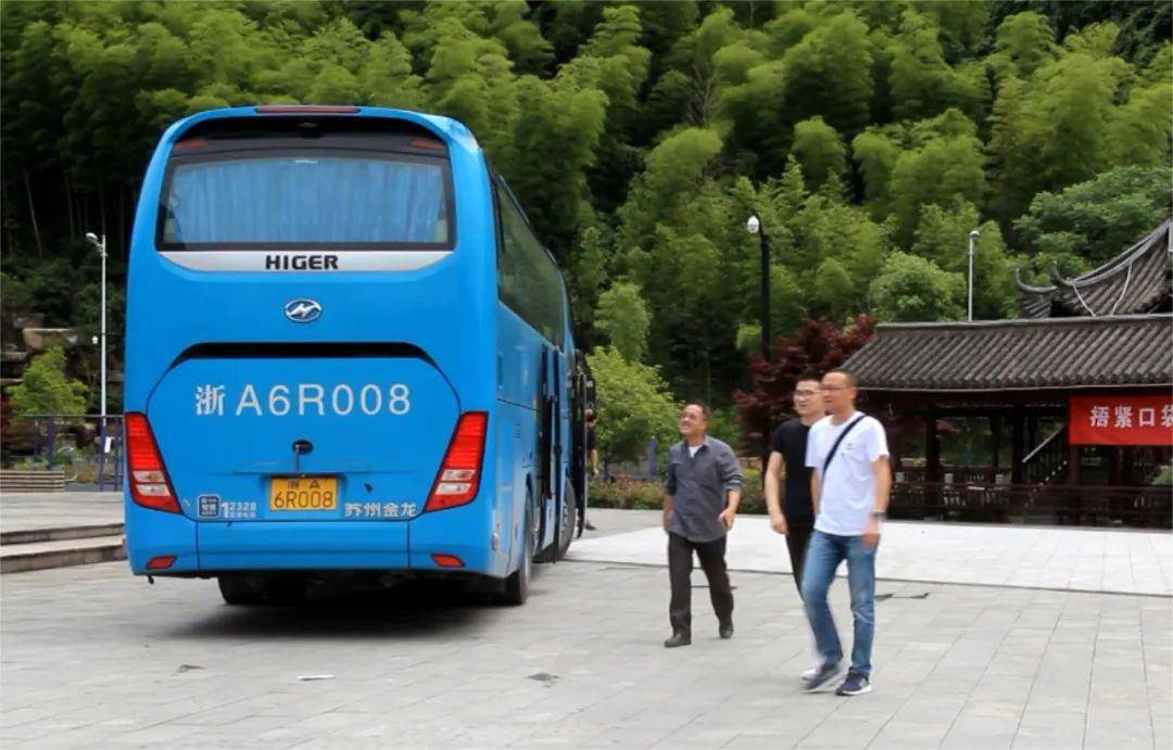 鲁驴怼大巴最新,变化中的力量与自信,学习带来的成就感