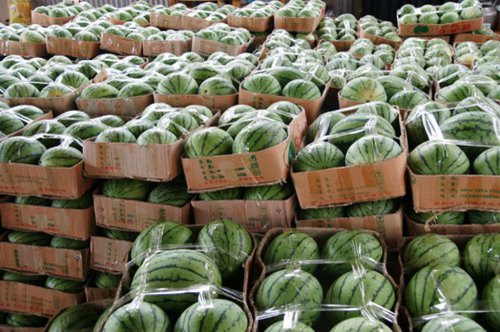 新民西瓜价格最新行情与夏日甜蜜记忆