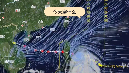 最新11号台风消息及其影响,深入分析与观点阐述