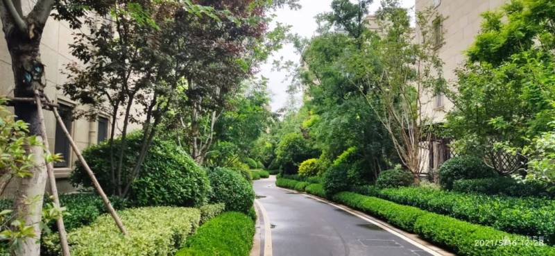 2024年神曲最新神曲,时代的旋律与文化的印记