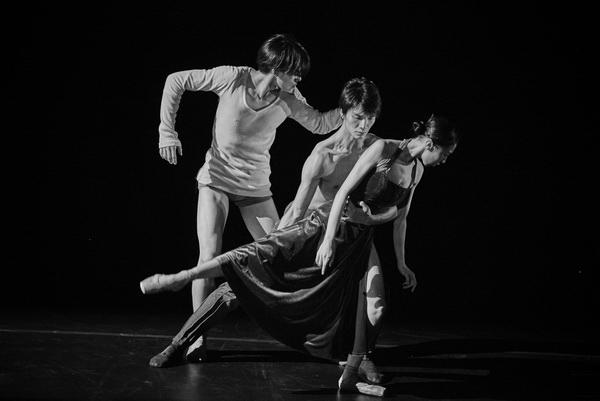 最新优秀幼儿舞蹈视频,小舞者的大梦想,自信与成就感的源泉