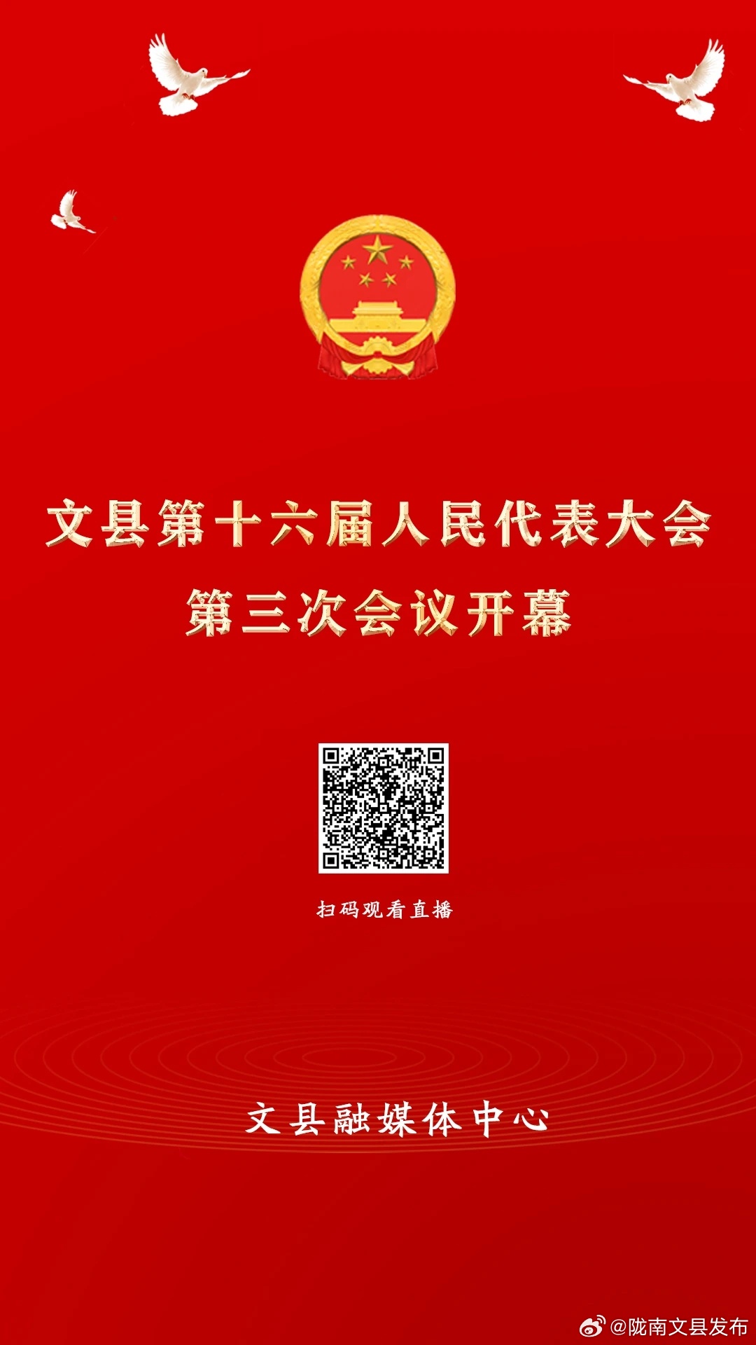 最新文县人事任免📰✨