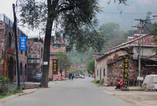 林州最新完整会表,小巷深处的独特风味