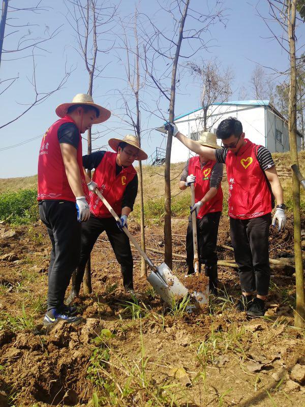 珠海最新搬运招聘信息,观点论述
