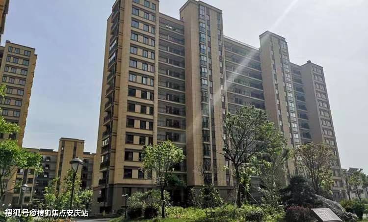 338最新路线详细步骤指南