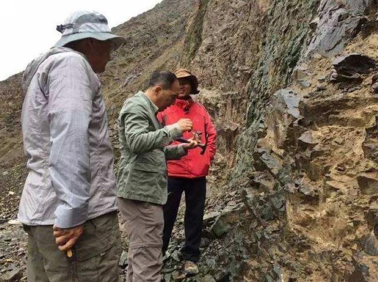 龙川麻布岗最新闻,织就梦想,麻布上的励志故事