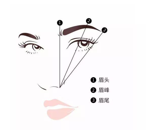 2024年最新画眉术,初学者到进阶用户的详细步骤指南