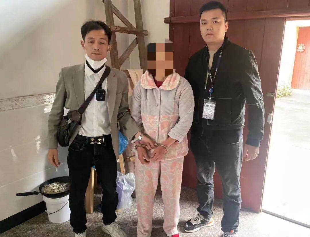 泉港最新命案新闻,了解与关注的方式