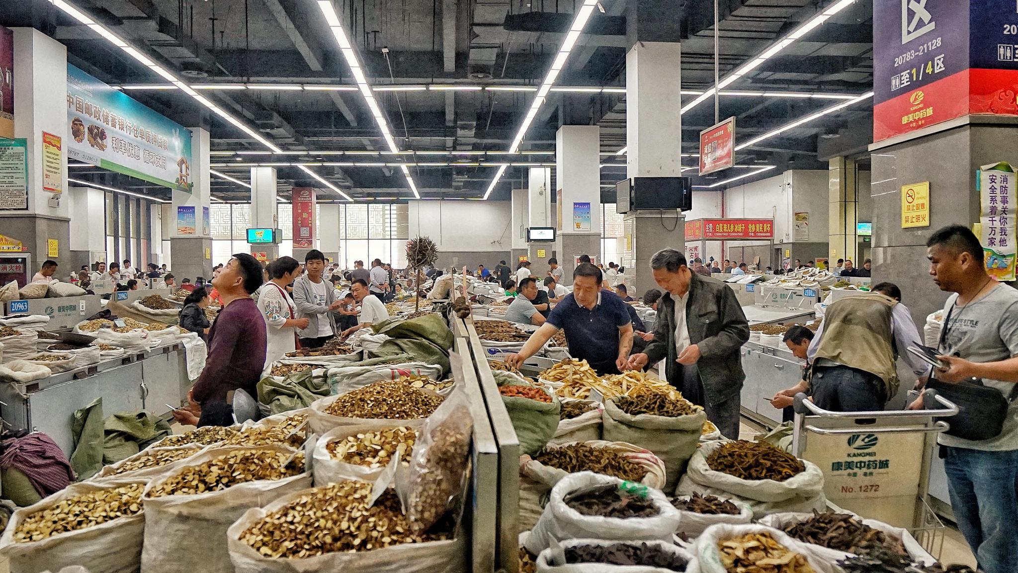 亳州药材价格最新行情