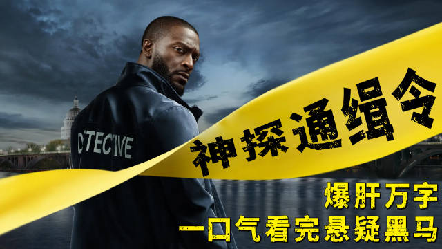 2024最新通缉令与奇妙日常