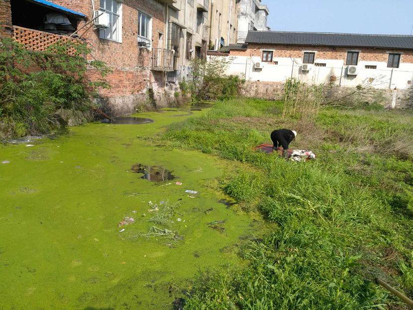 宁乡菁华铺的奇妙规划之旅