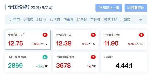 最新猪价uc报价,小巷深处的特色小店探秘