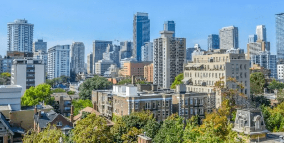 河北晋州最新新闻,城市角落的温馨日常