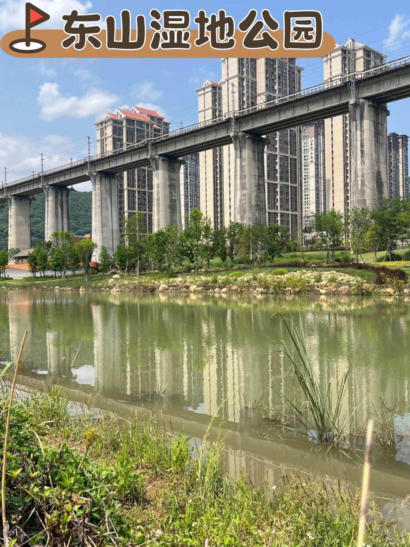 龙岩东山湿地公园最新奇遇,友情与陪伴的温馨画卷