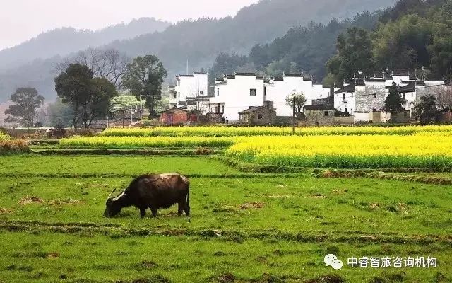 孙奕豪最新持股,一场自然美景的旅行探索