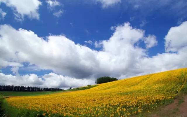 孙奕豪最新持股,一场自然美景的旅行探索