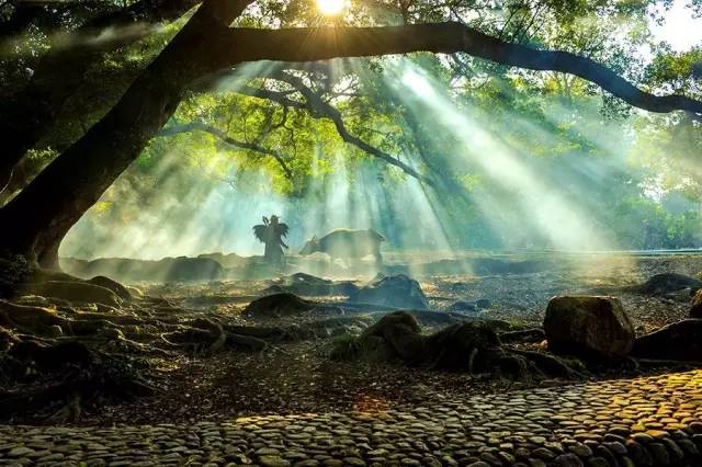 最新的结婚手游,探索自然美景的浪漫之旅,寻找内心的平和与宁静