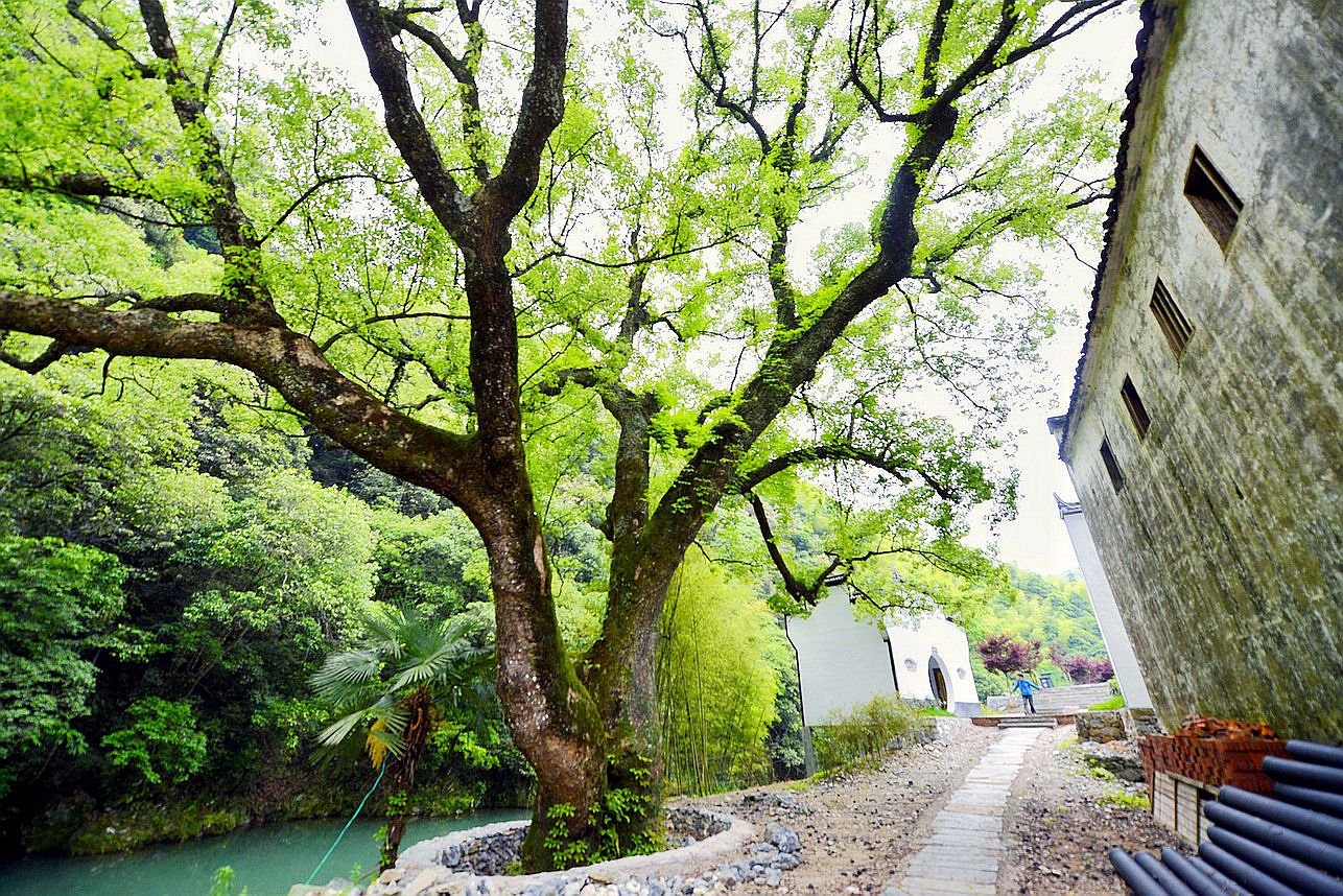 在一个宁静而美丽的象山小镇上,阳光透过郁郁葱葱的绿叶洒在街道上,温暖而充满活力。在这个充满生活气息的地方,我们的主人公小明和他的朋友们,每天都上演着温馨有趣的求职故事。今天,小明打开了象山招聘网最新招聘信息网,一场充满爱与陪伴的求职之旅就此展开。
