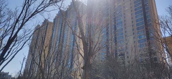 御龙庭二期最新进展,变化中的力量,学习中的自信与成就感