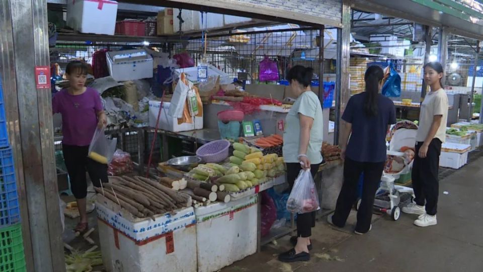 河南省柘城辣椒大市场最新价格指南