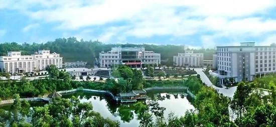 揭西县陈族远的新鲜日常，温情与友情的交织