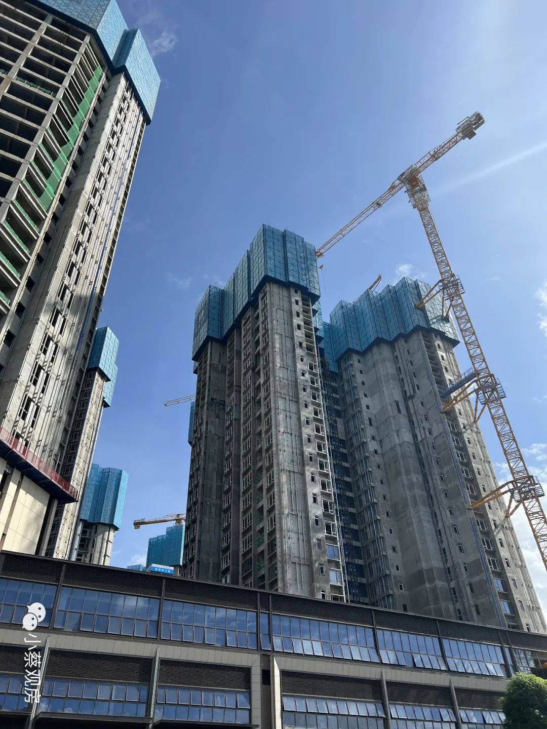 🌟宏汉阁十号最新消息🌟