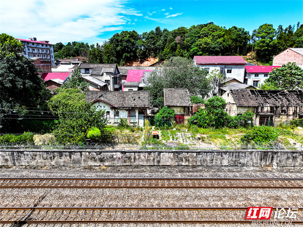 株洲市姚家坝最新消息