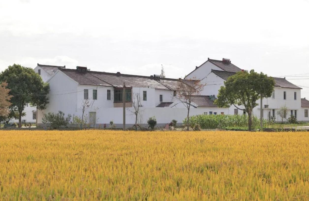 丰南贴吧教育局最新消息,科技引领未来,点亮教育新篇章