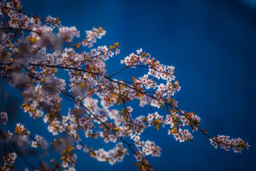 雅安十里原湾最新消息——科技前沿,生活焕然一新