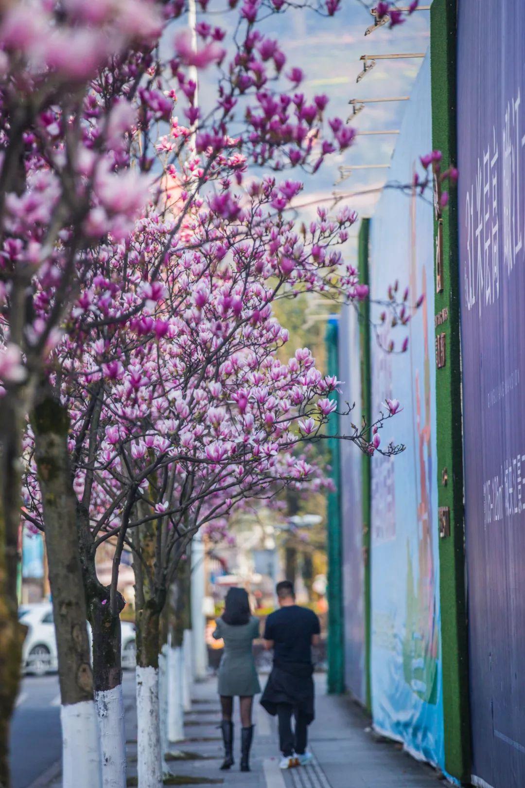 雅安十里原湾最新消息——科技前沿,生活焕然一新