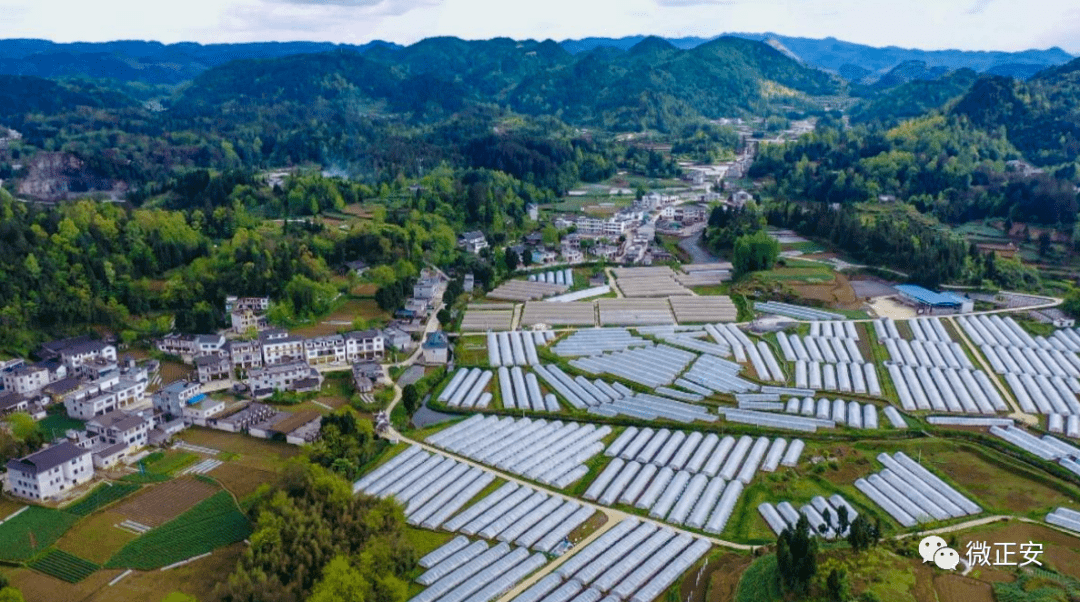 正安县安场镇最新消息及其相关论述