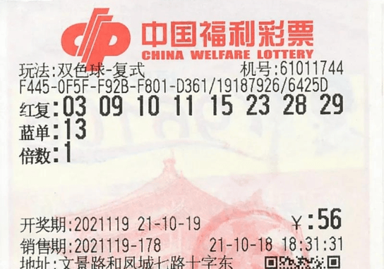 494949今晚开奖结果查询最新,平衡计划息法策略_硬件版82.350